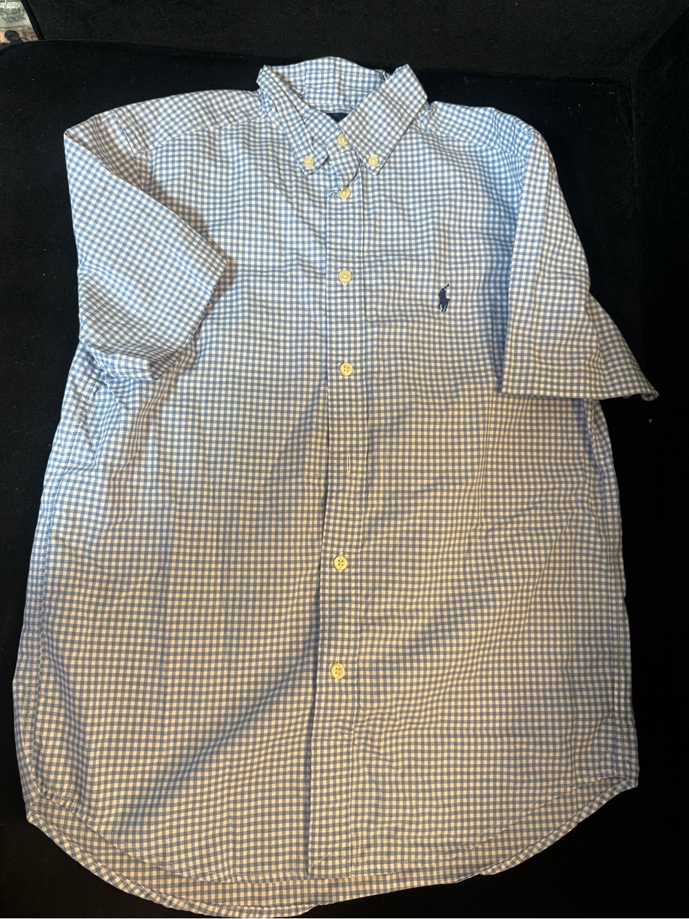 Polo by Ralph Lauren Boys Blue Gingham Button-Down Shirt
